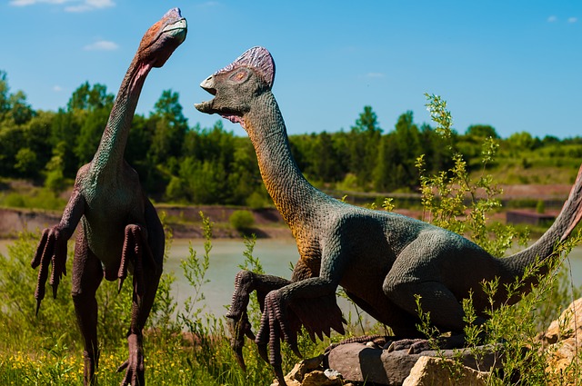 Dino Park, Tsjechië