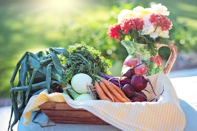 Wat is vegetarisme